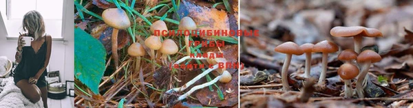 мефедрон мука Нефтегорск