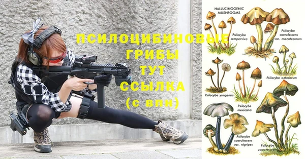 герыч Новодвинск