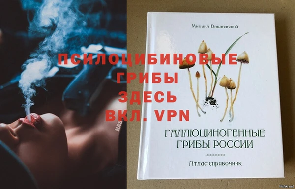 мдпв Бронницы