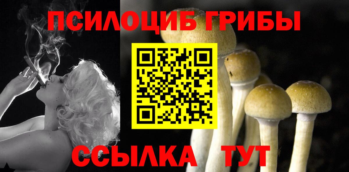 Галлюциногенные грибы Cubensis  Вход с VPN  Нягань 